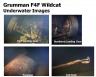 f4f-underwater-images.jpg